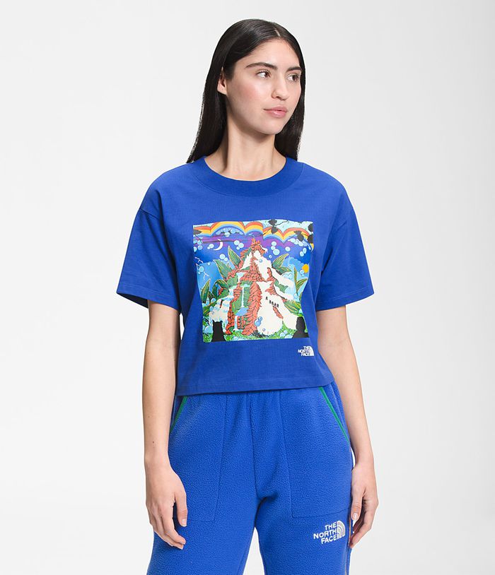 Camiseta The North Face Mujer Manga Corta Colorblock Cropped Azules - Peru 82019CEVG